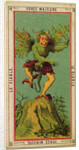 Force Majeure, The Devil tarot card by School French
