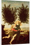 Daphne and Apollo, c.1470-80 by Antonio Pollaiuolo