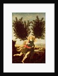 Daphne and Apollo, c.1470-80 by Antonio Pollaiuolo