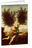 Daphne and Apollo, c.1470-80 by Antonio Pollaiuolo