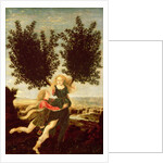 Daphne and Apollo, c.1470-80 by Antonio Pollaiuolo