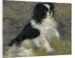 Tama, the Japanese Dog, c.1876 by Pierre Auguste Renoir