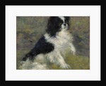 Tama, the Japanese Dog, c.1876 by Pierre Auguste Renoir