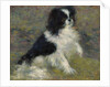 Tama, the Japanese Dog, c.1876 by Pierre Auguste Renoir