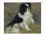 Tama, the Japanese Dog, c.1876 by Pierre Auguste Renoir