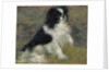 Tama, the Japanese Dog, c.1876 by Pierre Auguste Renoir