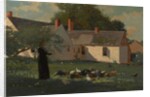 Farmyard Scene, c.1872-74 by Winslow Homer