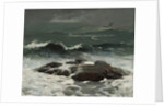 Summer Squall, 1904 by Winslow Homer