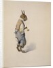 Br'er Rabbit, 1881-1928 by Arthur Burdett Frost