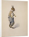 Br'er Rabbit, 1881-1928 by Arthur Burdett Frost