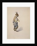 Br'er Rabbit, 1881-1928 by Arthur Burdett Frost