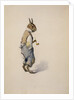 Br'er Rabbit, 1881-1928 by Arthur Burdett Frost