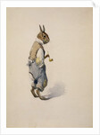 Br'er Rabbit, 1881-1928 by Arthur Burdett Frost