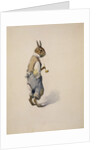 Br'er Rabbit, 1881-1928 by Arthur Burdett Frost