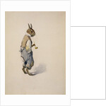 Br'er Rabbit, 1881-1928 by Arthur Burdett Frost