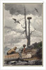 The Eagle's Nest, 1902 by Winslow Homer