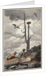 The Eagle's Nest, 1902 by Winslow Homer