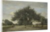 Apple Trees in a Field, c.1865-70 by Jean Baptiste Camille Corot