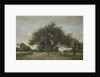 Apple Trees in a Field, c.1865-70 by Jean Baptiste Camille Corot