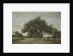 Apple Trees in a Field, c.1865-70 by Jean Baptiste Camille Corot