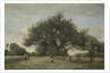 Apple Trees in a Field, c.1865-70 by Jean Baptiste Camille Corot