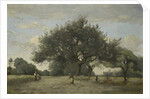Apple Trees in a Field, c.1865-70 by Jean Baptiste Camille Corot