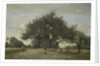 Apple Trees in a Field, c.1865-70 by Jean Baptiste Camille Corot