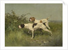 Two Pointers, c.1850-97 by Charles Oliver de Penne