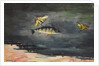 Fish and Butterflies, 1900 by Winslow Homer