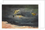 Fish and Butterflies, 1900 by Winslow Homer