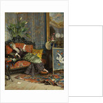 Young Woman Reading, 1875 by Lucius Rossi