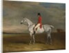 Duchess, 1831 by John E. Ferneley