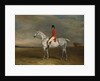 Duchess, 1831 by John E. Ferneley