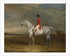 Duchess, 1831 by John E. Ferneley
