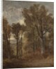 Woodland scene overlooking Dedham Vale, c.1802-03 by John Constable