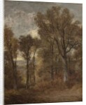 Woodland scene overlooking Dedham Vale, c.1802-03 by John Constable
