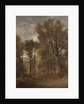Woodland scene overlooking Dedham Vale, c.1802-03 by John Constable