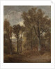 Woodland scene overlooking Dedham Vale, c.1802-03 by John Constable