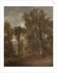 Woodland scene overlooking Dedham Vale, c.1802-03 by John Constable