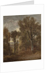 Woodland scene overlooking Dedham Vale, c.1802-03 by John Constable