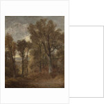 Woodland scene overlooking Dedham Vale, c.1802-03 by John Constable