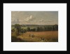 The Wheat Field, 1816 by John Constable