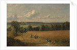 The Wheat Field, 1816 by John Constable