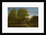 Farm in the Landes, 1844-67 by Theodore Rousseau
