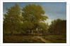 Farm in the Landes, 1844-67 by Theodore Rousseau