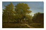 Farm in the Landes, 1844-67 by Theodore Rousseau