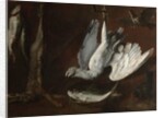 Hare, Spoonbill, and Fish, mid-1600s by Italian School