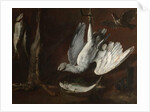 Hare, Spoonbill, and Fish, mid-1600s by Italian School