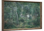 Edge of the Woods Near L'Hermitage, Pontoise, 1879 by Camille Pissarro