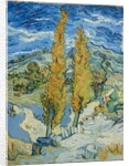 The Poplars at Saint-Rémy, 1889 by Vincent van Gogh